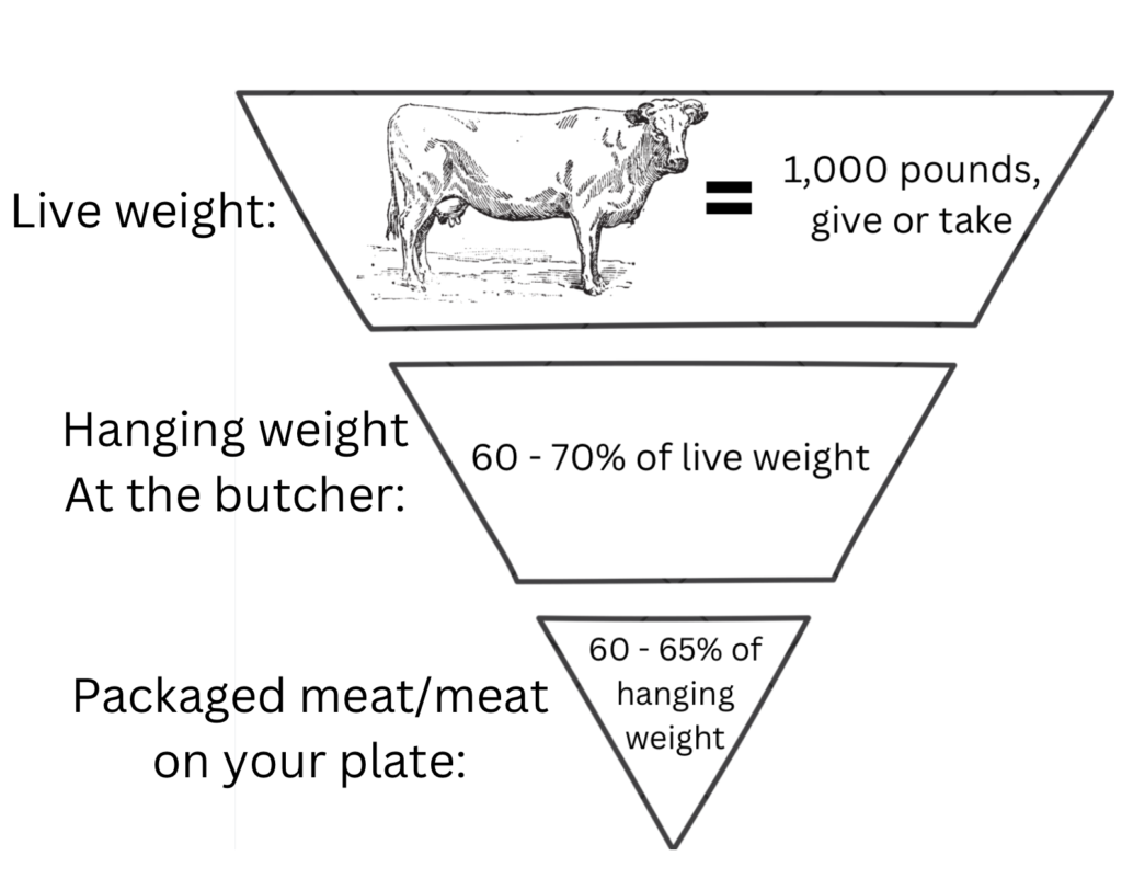 Maine organic whole and half cows