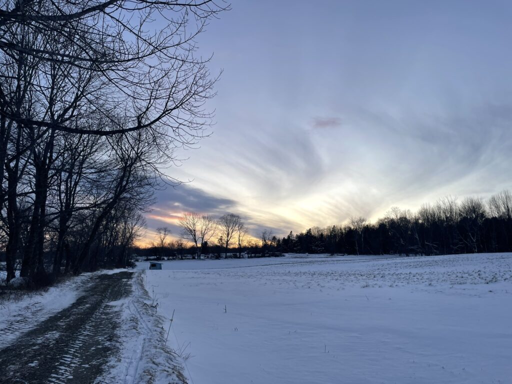 Organic winter pastures at dusk with whispy clouds in the darkening sky